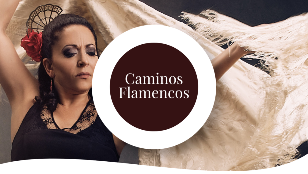Caminos Flamencos Card Banner
