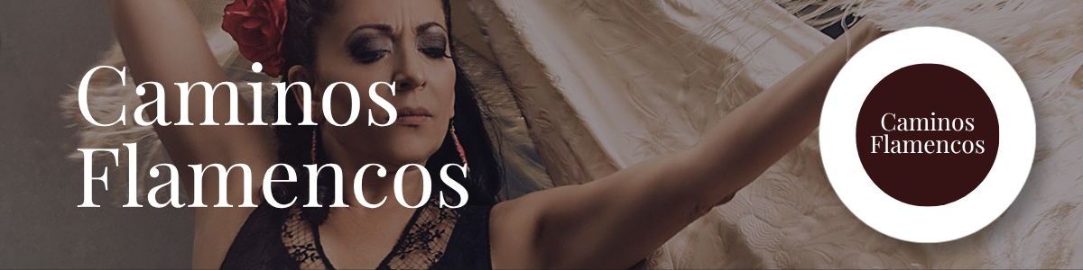 Caminos Flamencos Header Banner