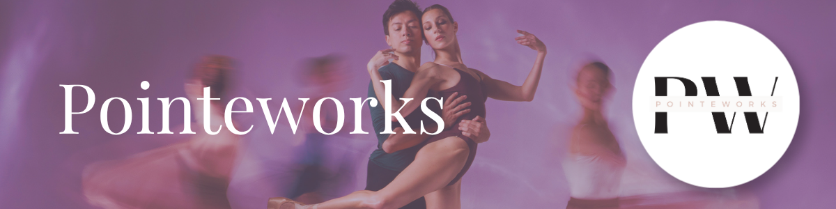 Pointeworks Header Banner