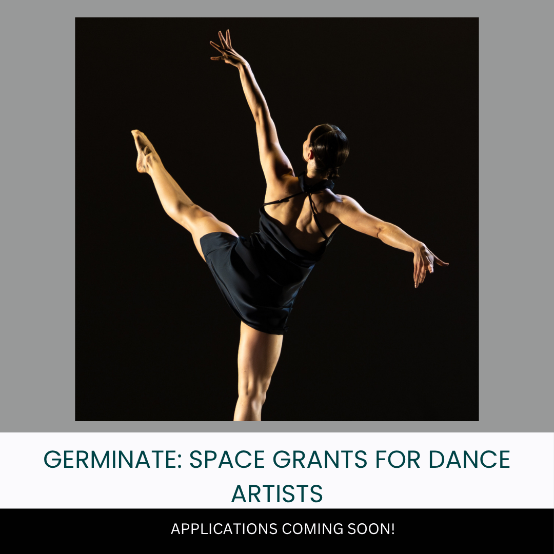 Greenhouse: Space Grants for Artitsts Featured Image